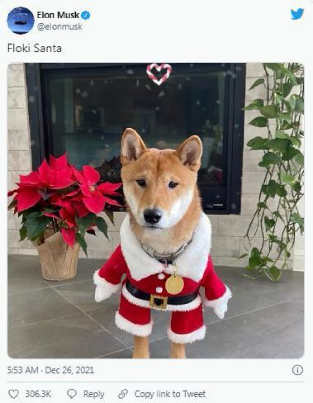 魔幻！马斯克晒出一张宠物狗照片，竟让一种加密货币暴涨35倍